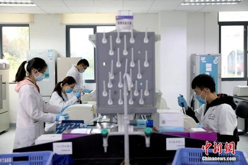 打卡介苗能否減少新冠肺炎感染風(fēng)險(xiǎn)？專家回應(yīng)與技術(shù)開發(fā)進(jìn)展